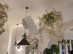 -春树下·树屋花房西餐厅(罍街AS1980店)