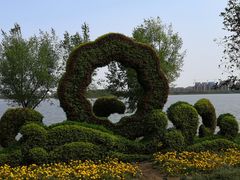 -武清南湖绿博园