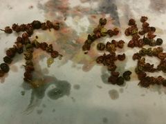 picture-鼎盛蜀坊·重庆江湖菜(市桥地铁站店)