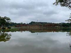-东莞植物园