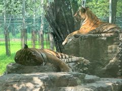 -秦皇岛野生动物园