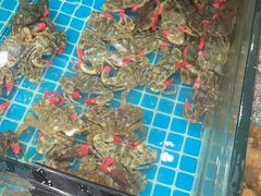 -渔码头食府(蓬莱阁店)