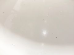 -奈雪的茶(新天地广场PRO店)