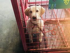 -卷心卷意·轻甜蛋糕(新光天地店)