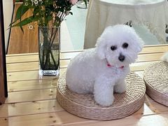 -洛克公园美式运动体验馆(唯品会合肥蜀山城市奥莱店)