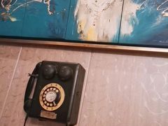 -老洋房花园饭店(绍兴路店)