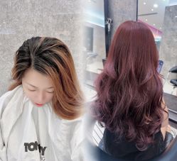 点击看大图 -TONI&GUY