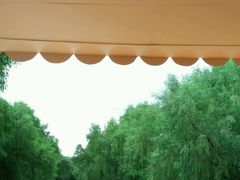 android_upload_pic-大湾区中央湿地公园