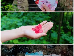 -素山寺森林公园