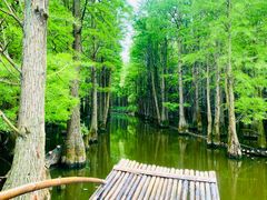 -尚湖风景区