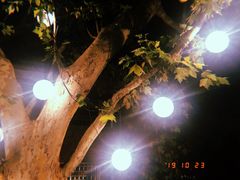 -Ginger(兴国路店)