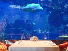 -迪拜帆船酒店海底餐厅
