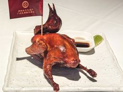 -侨美食家·41年地道粤菜(珠江新城店)