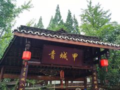 -青城甲(青城山店)