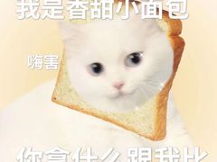 -源麦甜·品质千层(市北店)