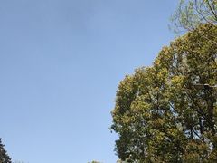 -天目湖涵田度假村