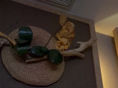 -和子足浴SPA会馆(梁溪店)