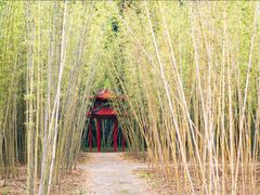 -沈阳植物园