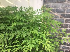 -深业半汤御泉庄温泉