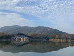 -长广溪湿地公园