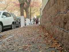 -八大关景区