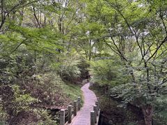 -大伊山景区
