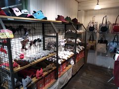 -猫咪博物馆(顶澳仔猫街店)