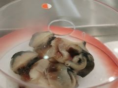 -元气寿司(金光华店)