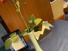 -栾氏荟(柳园店)