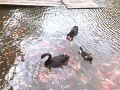 -清风小镇闯关东影视基地