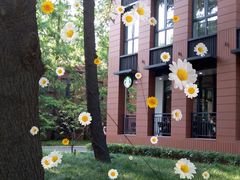 -星巴克(上海交通大学店)