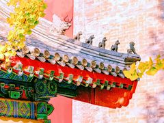 -国家植物园