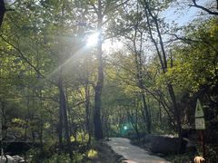 -玉渡山自然风景区