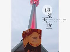 -339旋转餐厅(天府熊猫塔店)