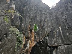 -玉石林风景区