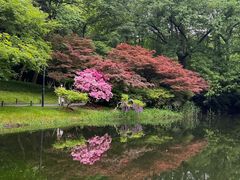 -杭州植物园