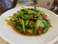 -巴依老爷新疆美食(望京小街店)