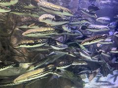 -多彩贵州城极地海洋世界