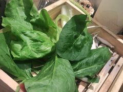 -呷哺呷哺(松江开元店)