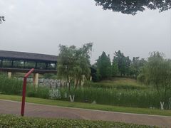 -眉山湿地公园(东坡区)