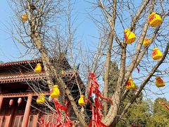 -函谷关历史文化旅游区