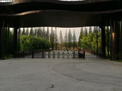 -黄海国家森林公园