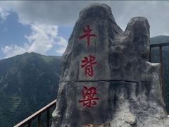 -牛背梁国家森林公园