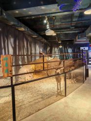 -酷嗒动物文化乐园(cutezoo西溪乐天城店)