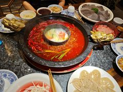 -成渝龙火锅(都江堰店)