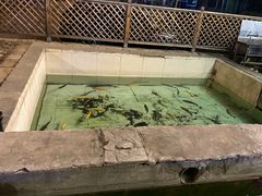 -钰田大院·碳烤虹鳟鱼·怀柔地道农家菜(雁栖湖店)