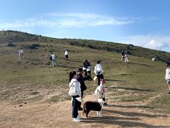 -大姆山草场