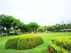 -万绿园