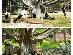 -厦门大学(思明校区)