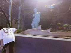 -太平洋海底世界